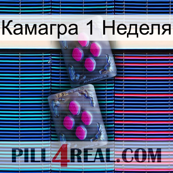 Камагра 1 Неделя 01.jpg